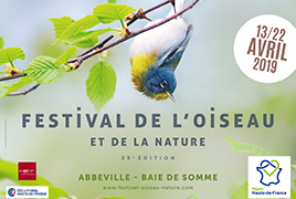 Festival_2019_horizontal-1.jpg